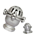 304/316 Stainless Steel ANSI Flanged DN25  foot valve for water pump Flanged Stainless Steel DN25  foot valve